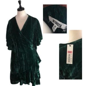NWT BB Dakota velvet cocktail dress.